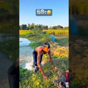 Laughing with Friends: The Ultimate Comedy Reel